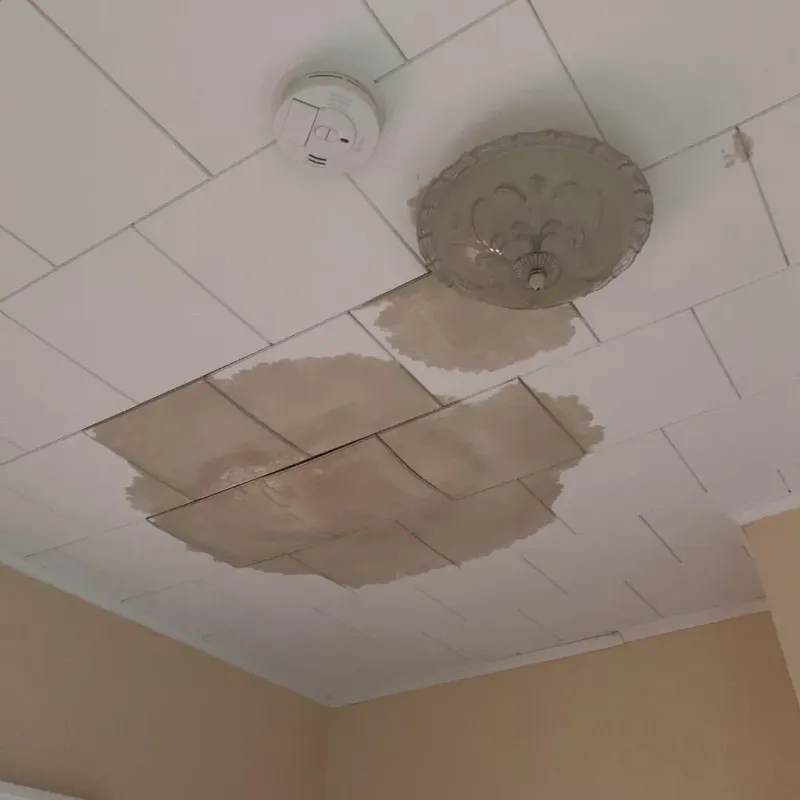 Ceiling Water Damage Repair in River Vale, NJ