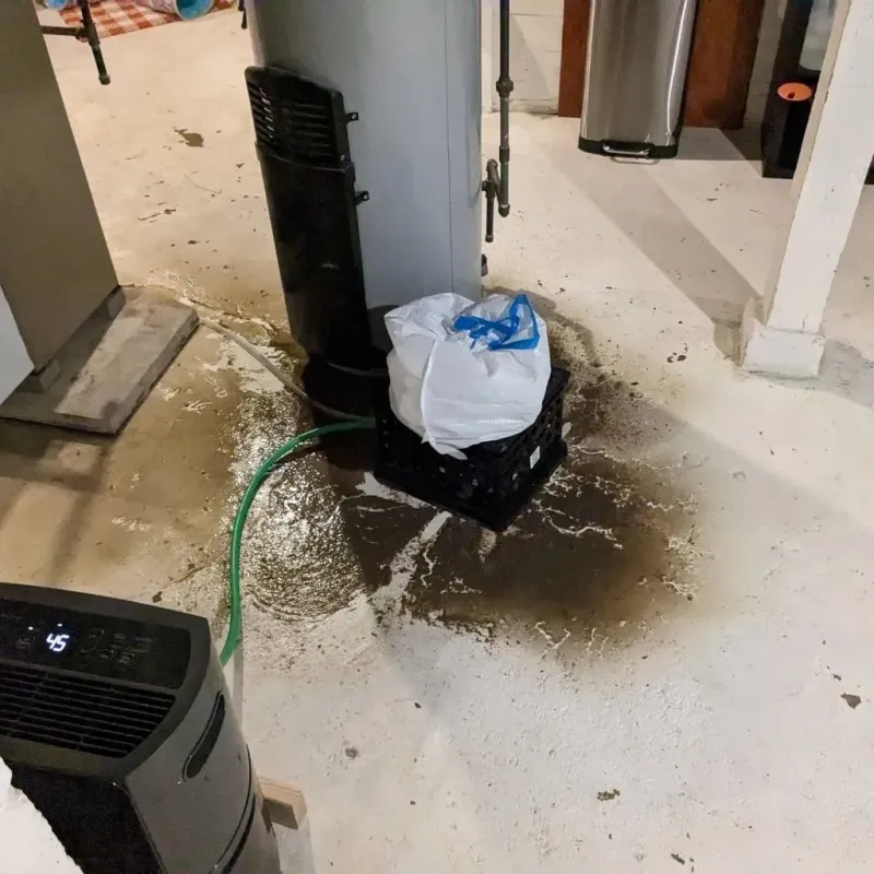 Sewage Backup Cleanup Service in River Vale, NJ